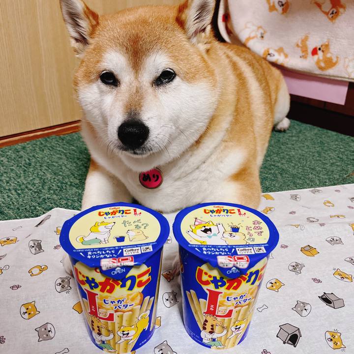 F8919f80 df88 45de 9d34 82758a67522f 1681387995250