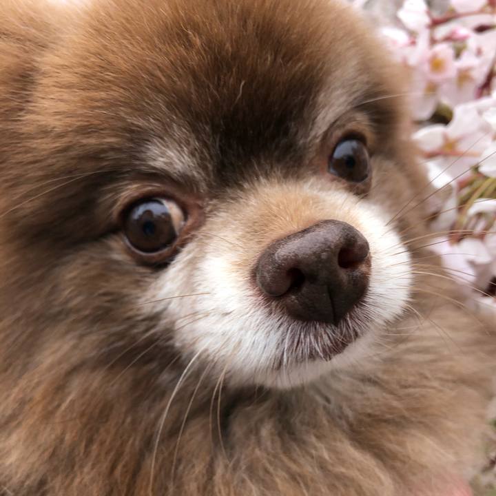 F891aa29 c304 4982 8297 cc974f523678 1619658614555