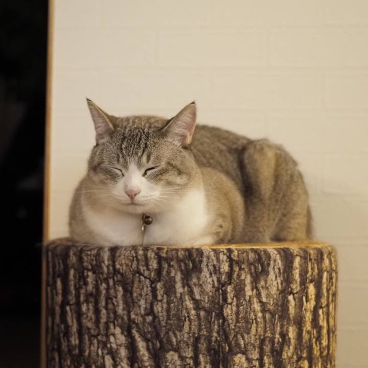 F891b2ce c68f 4cf4 87fa c0c1df1b7885 1625318739282