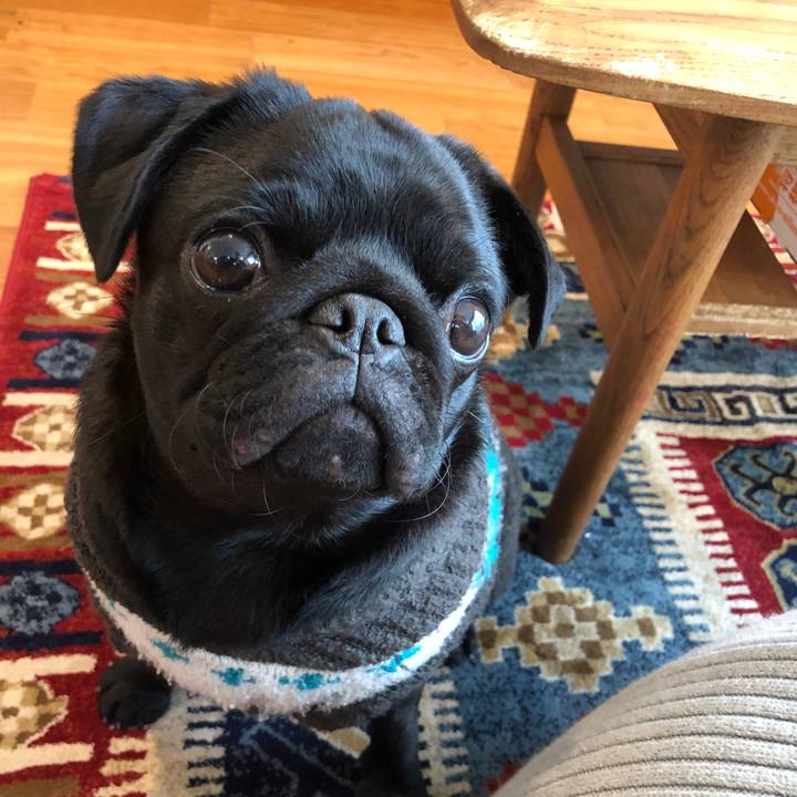 F891c5f4 5cd2 4b21 88b0 b5bf0010425e 1612148610794