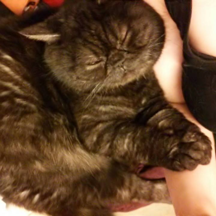 F891ea17 a4d9 42af a2aa eb53df84542a 1582379343100