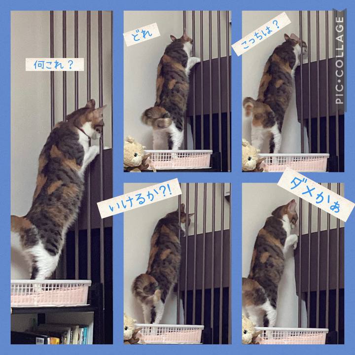 F89235d1 c14a 4cfe aa0d fbc062e402da 1666585820580