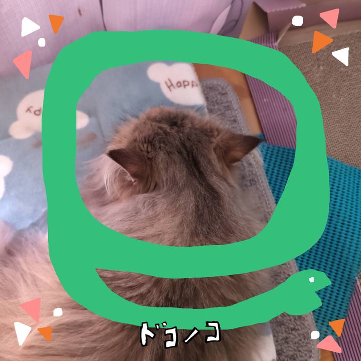 F89241ec cd72 45bc 8ee5 54991efb36e6 1741562108268