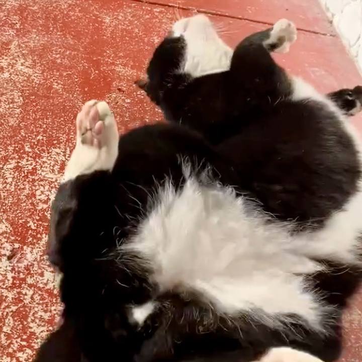 F8926327 f1ce 4853 8ae1 9892dab858b2 1737773040675