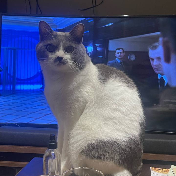 F892751c b533 47a1 8940 a856289e9c59 1701265800178