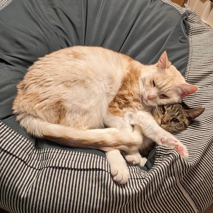 F892a8ab 756c 44d0 867d e5d6a59ce0c8 1706261241076