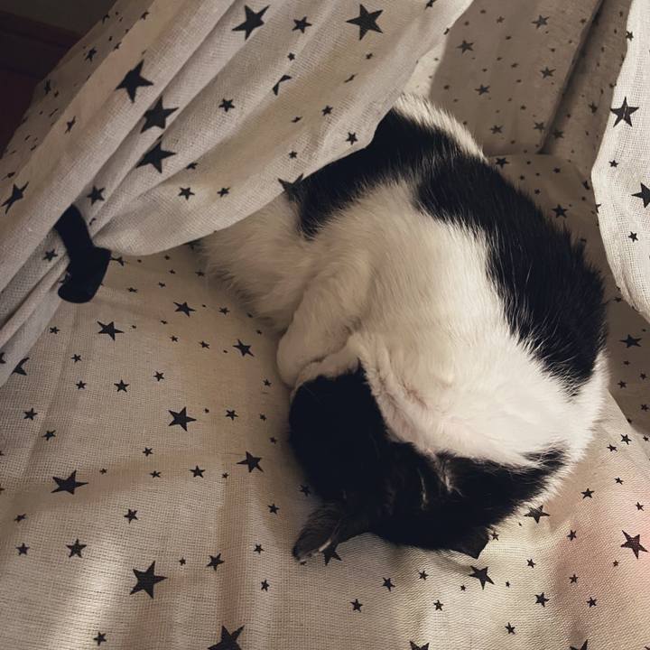 F892c034 27d9 4bed b7c7 74ff05b868d7 1642501298862