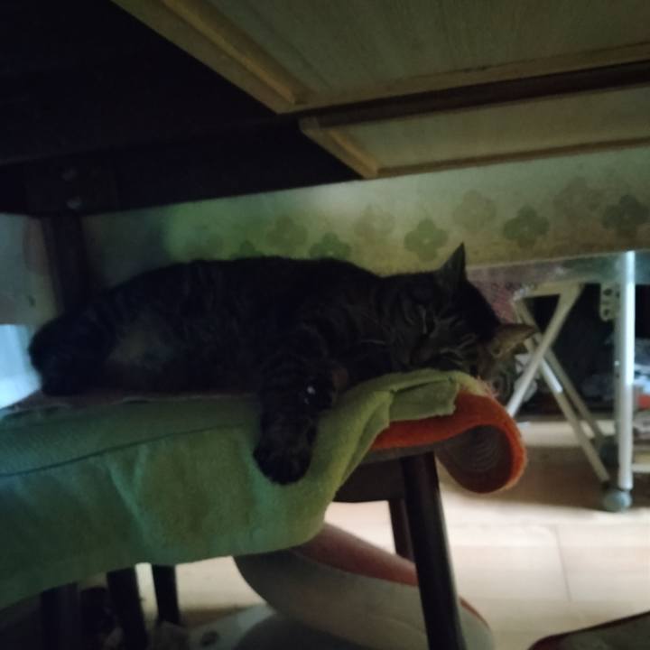 F892d220 0570 4f1d a119 5b9fc8098e57 1708472305807