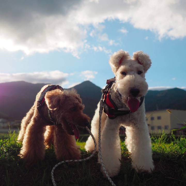 F8933788 e8dc 4586 b8cf b5c67855cb96 1569241389197