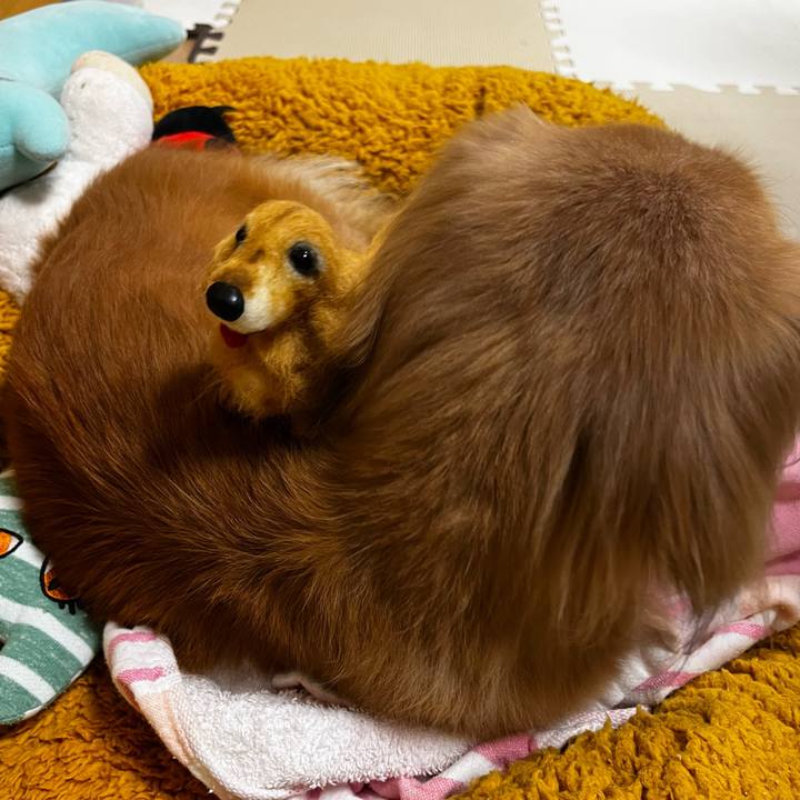 F89356af c128 4e6c ac3d 3683c2afe9a7 1666877820835