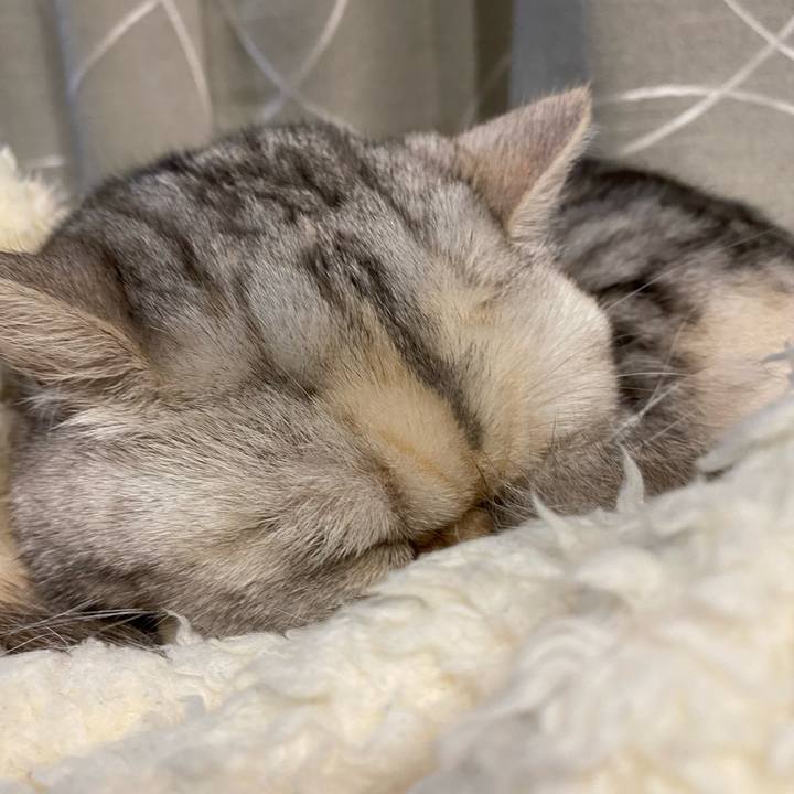 F893877e d047 45a2 ab49 bee38adcc4c9 1775563938918