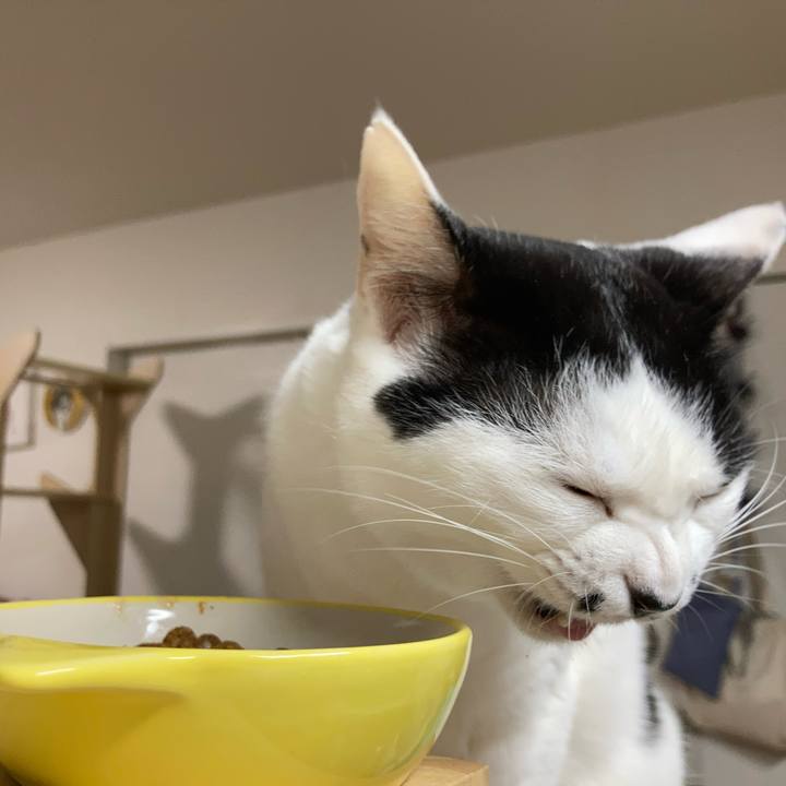 F893b5fd 7feb 4383 a011 1b854b87664f 1773087745646