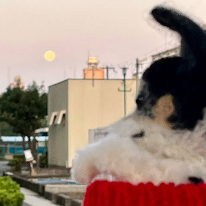 F893bf8a 7dbf 4557 a0bd 9f200fa66eb3 1667944762766