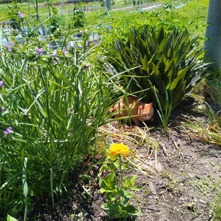 F893c037 2047 4420 a26c 31f8c922159b 1687146137359