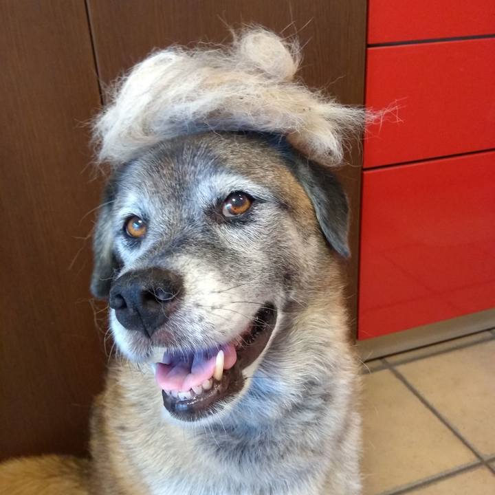 F893dc1c 9875 4c90 afa8 4ae43a66c493 1625526596979