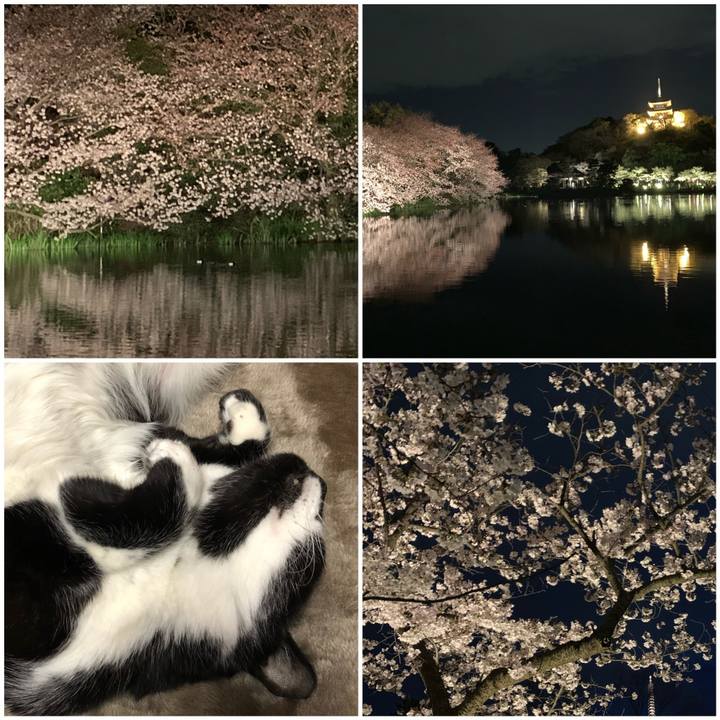 F893e36f bb5a 4803 8b6f 8576ba9aa4a9 1554027669377