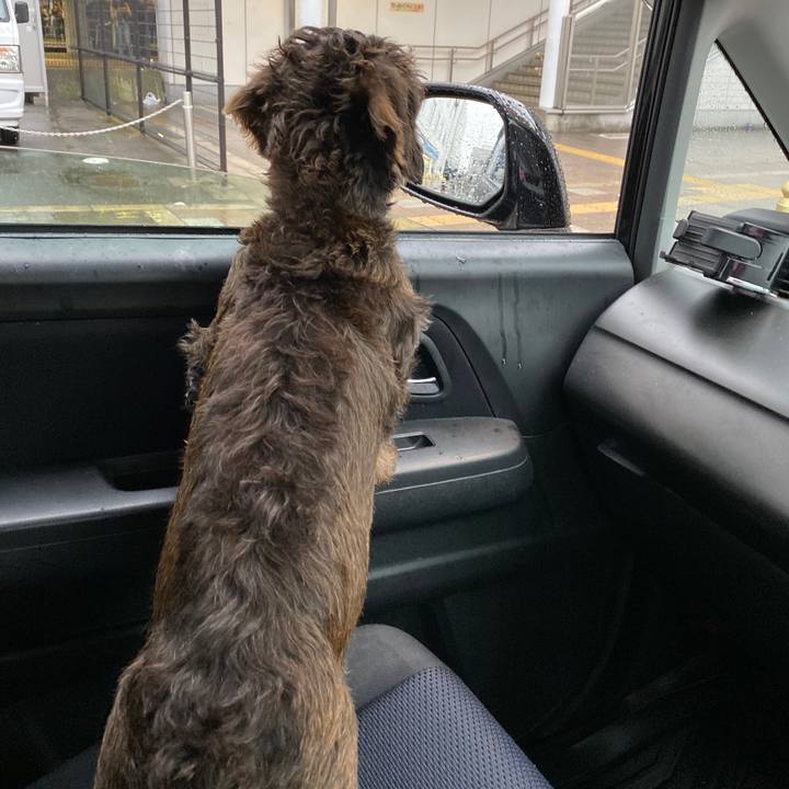 F893ebb5 6c72 475e 9639 b2e840054eb3 1572303600322