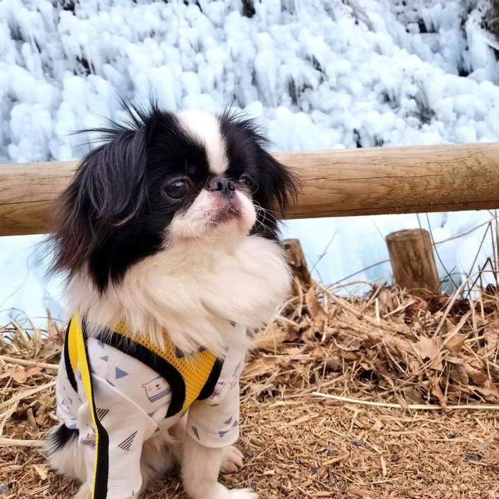 F89410c5 ced5 4453 8723 7b044cf6827f 1642930608685