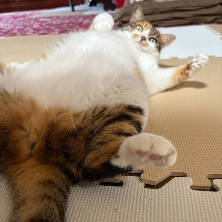 F8942407 f424 4037 b79b b9a2bf72b1c9 1756956717827