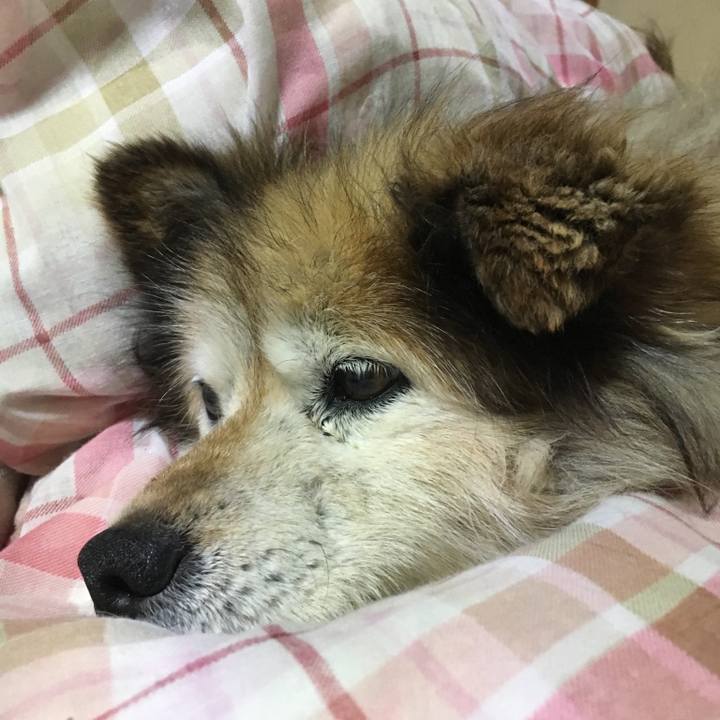 F8944a8d b1bd 4af3 adc0 0b66bcf991d5 1619268914145