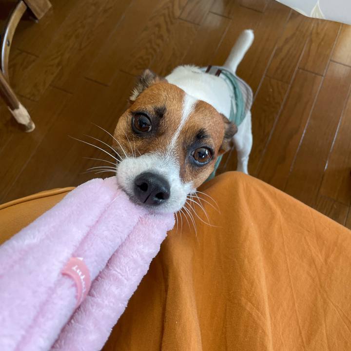 F8946514 b353 4ff1 94cf ddba20cc31e3 1633132578033