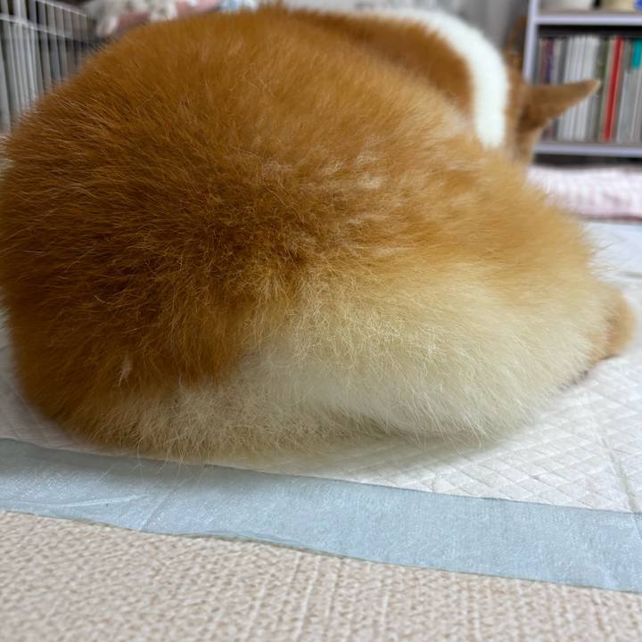 F8946624 dd3d 4b33 b48e db3e1503327a 1758709615658