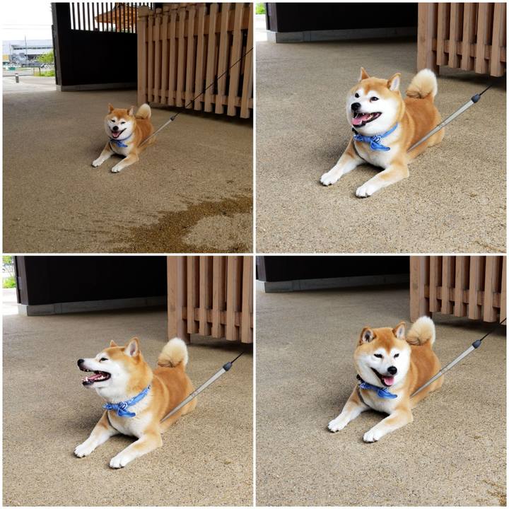 F8946f92 ff02 4127 b2bb 9b1a96331dc8 1559029289549