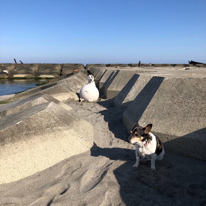 F8949ca7 3329 45c4 aa75 702b811cc0d4 1585610577307