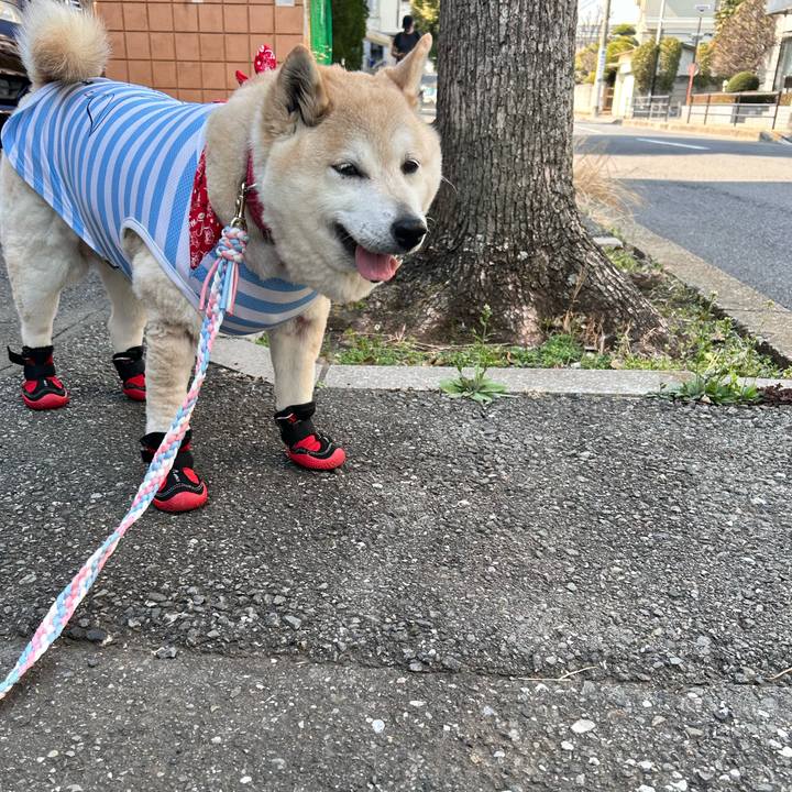 F894c223 b8ac 4d05 bb6a 412dae90d8a4 1742708280599