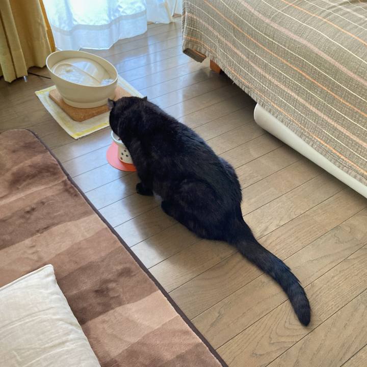 F894d269 099f 42d8 9d66 9dbc75c54094 1601681247949