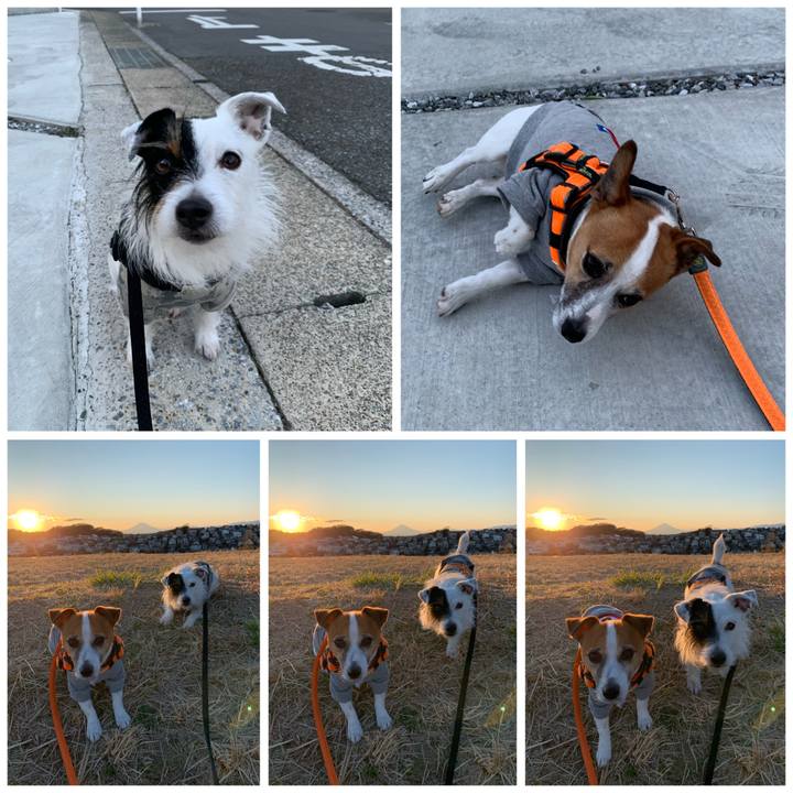 F894d2aa 95ea 4b99 85e7 3cb1aa51895e 1582017551300