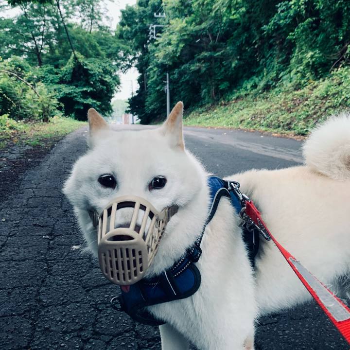 F89533a4 07cf 4a8c 9a9f 8c3a978762d9 1625607804354