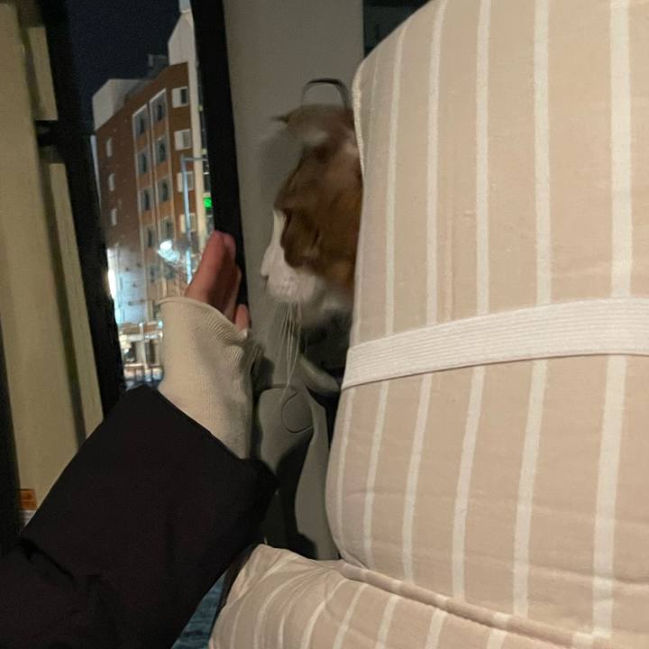 F8958ad1 aff3 433c b912 722e1ecdb74a 1669989394612