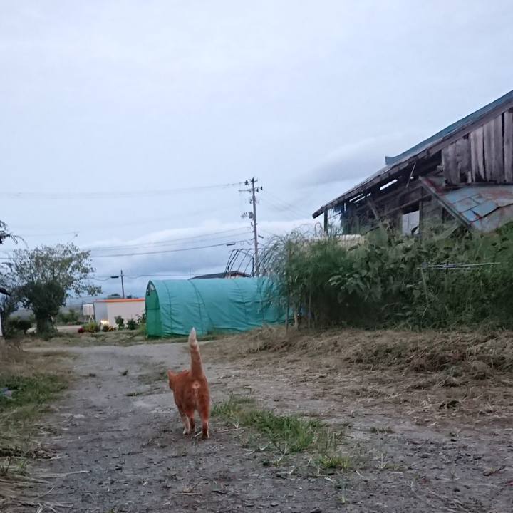 F895c03a cef9 4948 a547 9217e5251f94 1600851967778