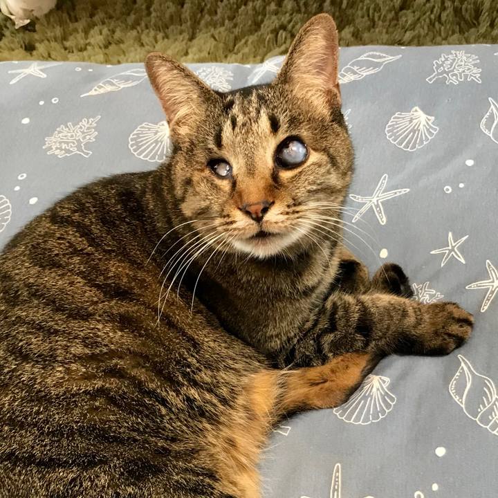 F8960133 27e2 4e20 bef7 aa6cc31b81ce 1555468896806