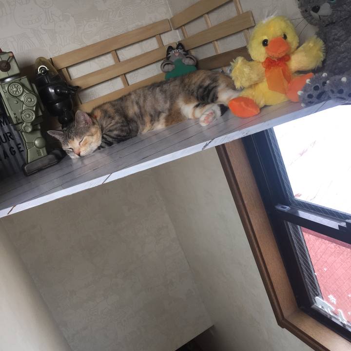 F896301e 7a81 47c9 958d 0bc6b335b504 1567226411453