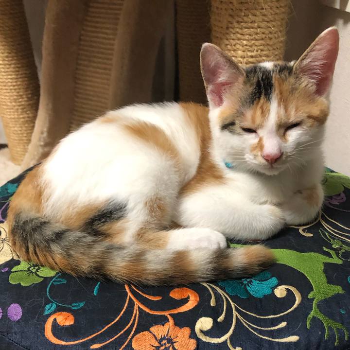 F8966e05 a9e9 4ebe 9bdc 9fdf2c793cb5 1565277431752