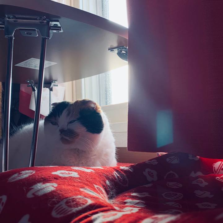 F896d98d ca74 4381 adeb 25e57388f3bb 1563397577285