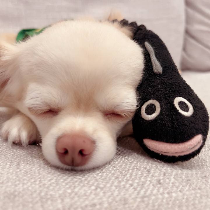 F896ea4d 0257 4546 985b 43ddcee34860 1719576788415