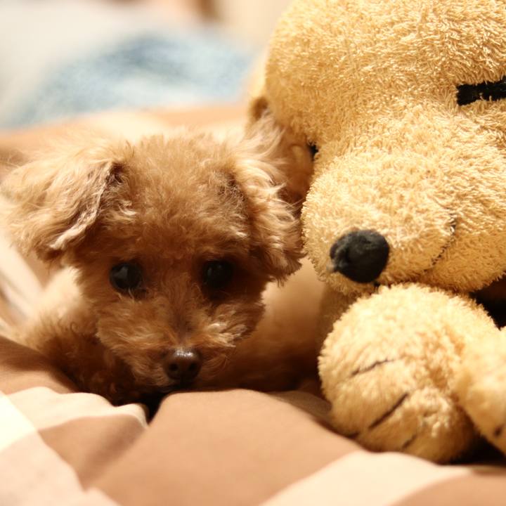 F897160c e148 4f5c 9854 c0ffe9d2ed13 1598191161494