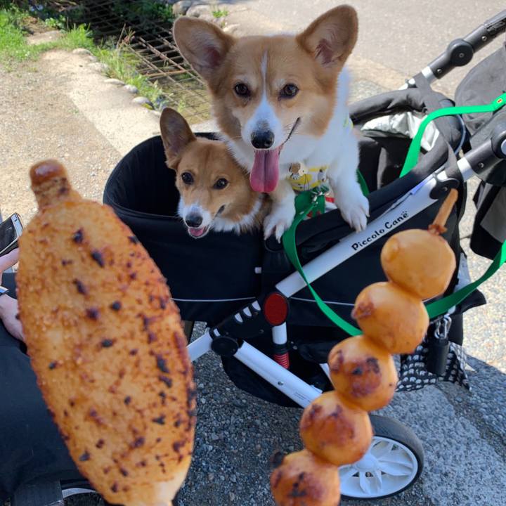 F8979bd7 2070 4d2d b022 dc55980937b8 1569038737221