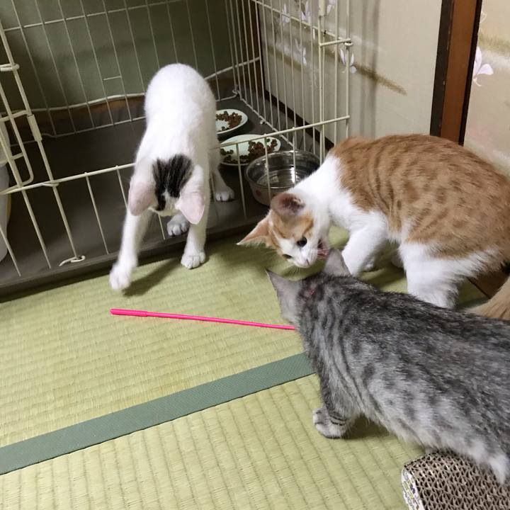 F897ba69 3830 4c36 956b e74524e5ab4e 1563310617523