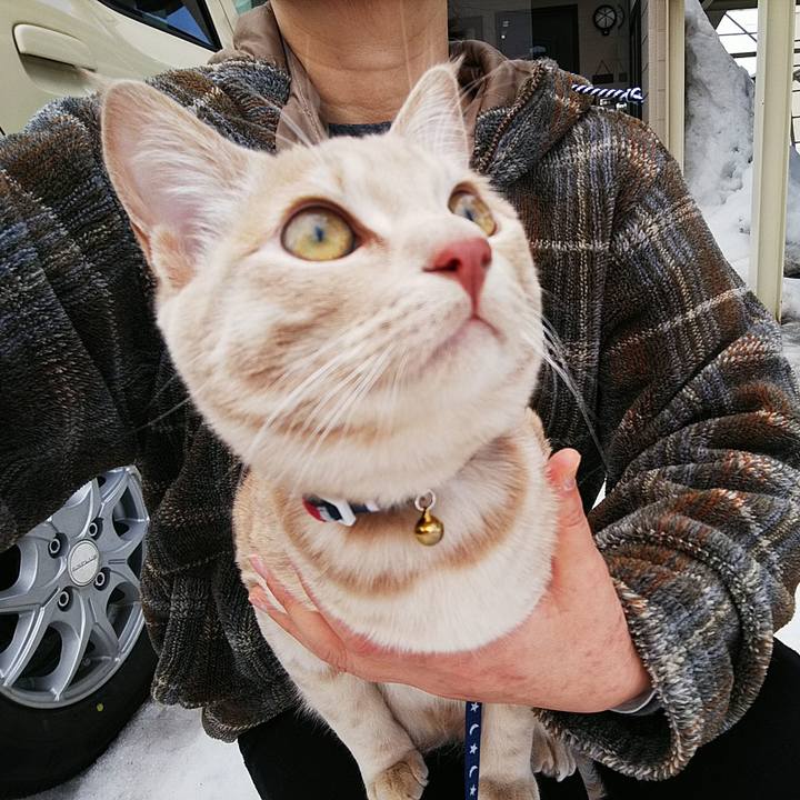 F897c055 4512 4e7c 90a4 da3487f9c89a 1551499692388