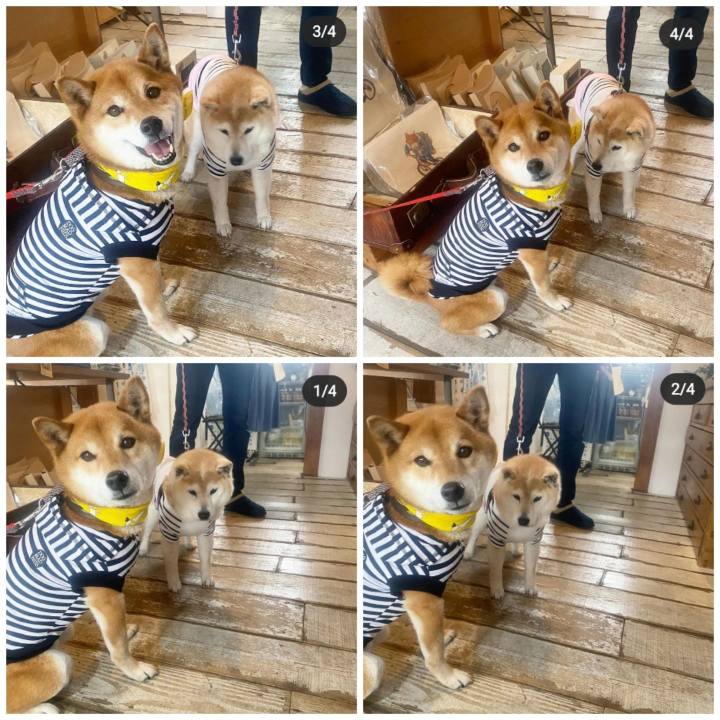 F8980063 b56c 4498 a0cd 91ad1983fd6a 1618705415358