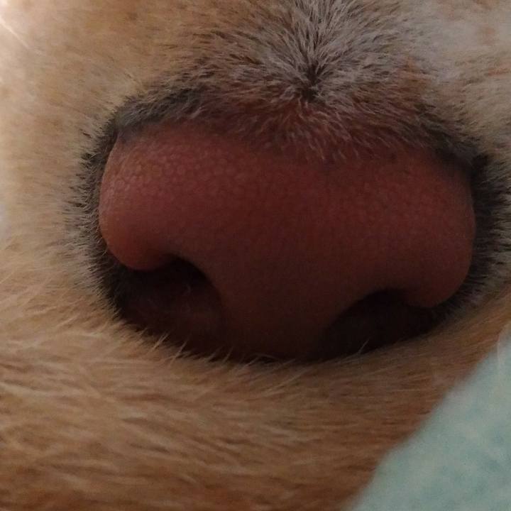 F89823ce 01f7 4b23 b10d 3492d72d37d0 1523624760256