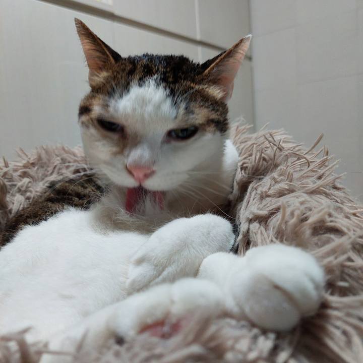 F8982fff db76 412a 806d bf04cbcd8be7 1709676951542