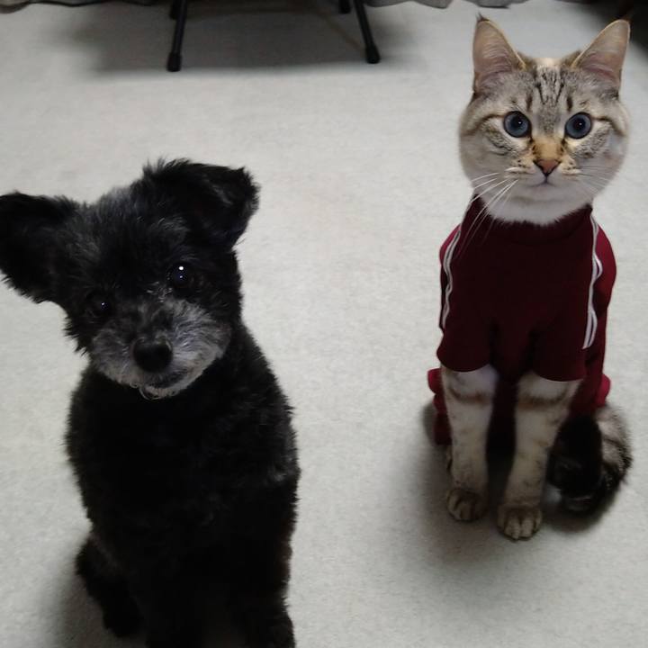 F89847c9 46b2 4c48 8476 75965af0c944 1681818364260