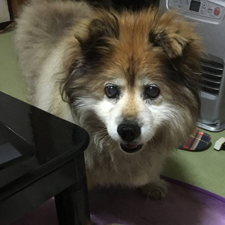 F8988d42 e97d 4ab3 9f05 ad97d82cbbc4 1583124448594