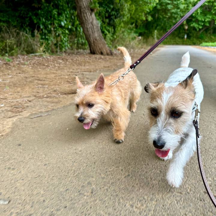 F8989eae 3820 476e 85a5 26f30946fb0b 1715513257098