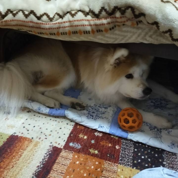 F8989eff 672e 4b1e 97ca 4b97432aff0c 1636978975435